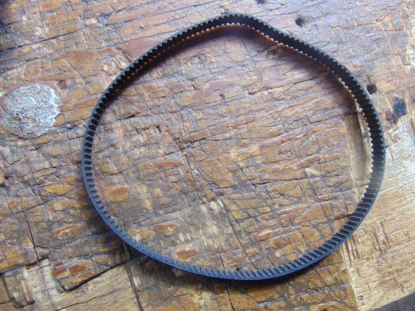 COMPASS WARP 360 MAIN DRIVE BELT