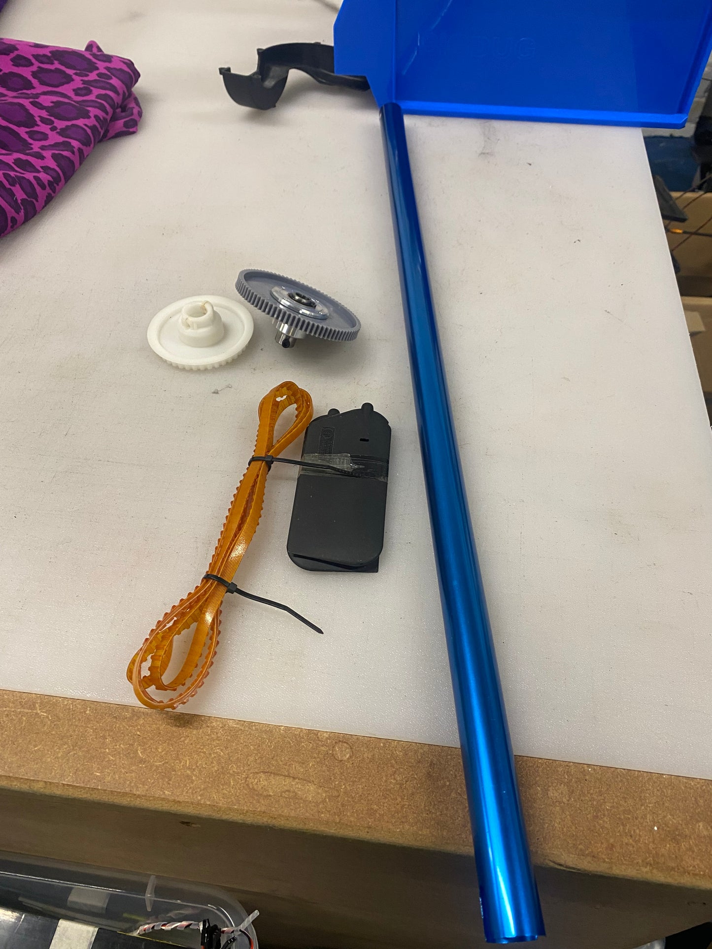 Assorted raptor 50 parts