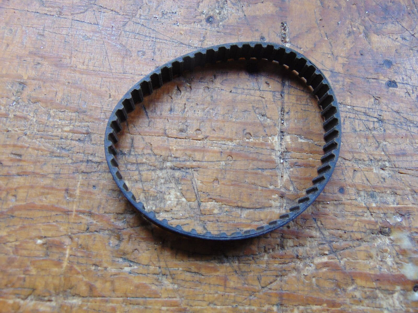 MORLEY MXB MAIN DRIVE BELT