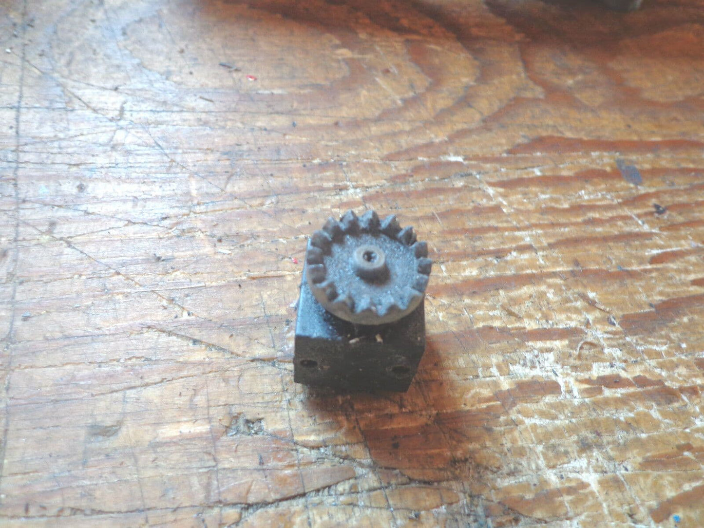 SCHLUTER MINIBOY TAIL DRIVE PINION